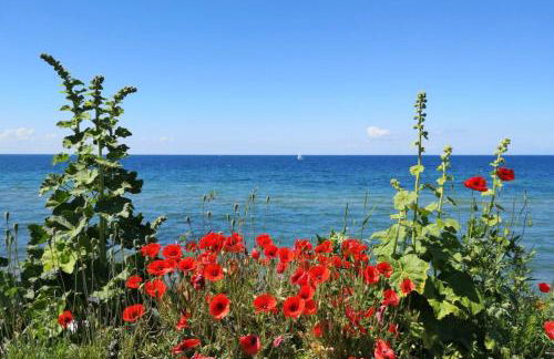 Hof am Meer "Seemöwe" - Foto 31