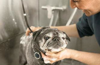 Oida Knoglerhof - Photo 25