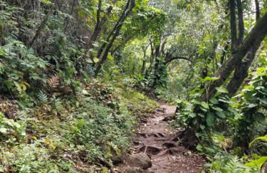 Puu Poa Ocean Bluff Condo, Incredible Views, Walk to Beaches, Pool & Tennis - Foto 53