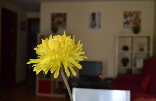 Apartamento Turistico Dct. Creus - Foto 22