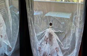 Olbia, Near Costa Smeralda Airport - Non-smoking - Photo 6