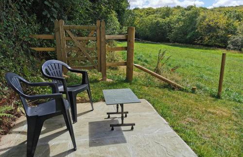 Meadow Bluebird - Foto 10