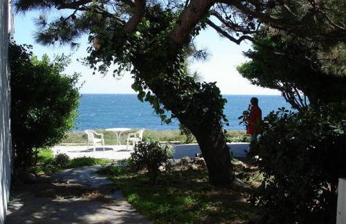 Estrella del Mar - Foto 11