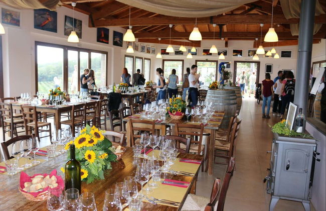 Visita a una cantina + Degustazione - Foto 3