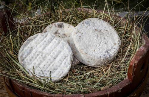 Agritur Ciasa Dò Parè - Foto 49