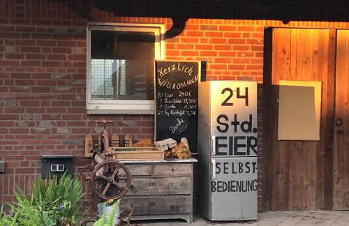 Feldjahns-Ferienwohnung - Foto 6