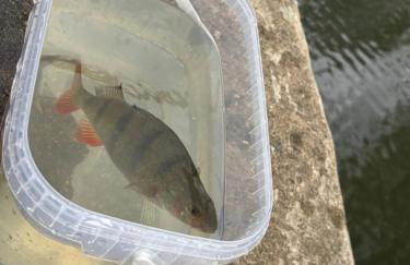 4 berth Boat house retreat in birstall, Leicester - Foto 19