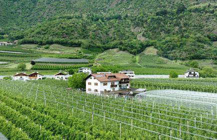 Bauernhof Sackgut - Foto 71