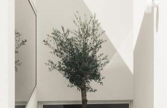 Casa da Fé - Foto 34