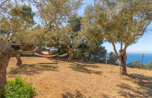 Valldemossa - 2813-88 Mallorca - Foto 10