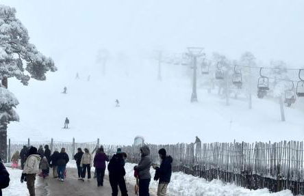 La Casita del Escorial -Nueva reforma Tranquilidad y jardín privado - Foto 38