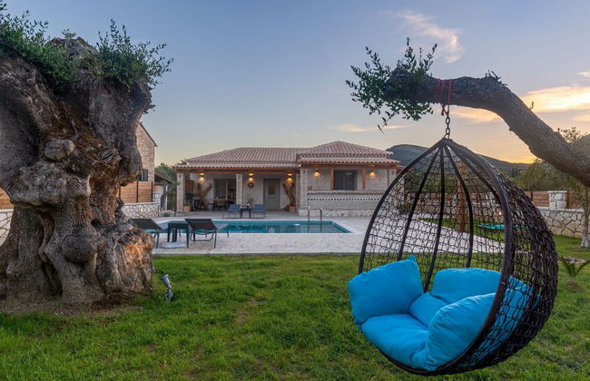 Tierra Olivo - Foto 59