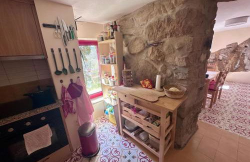 Nascente home place in nature next to a waterfall - Foto 14