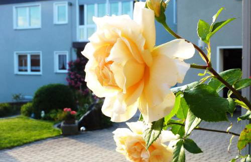 Ferienhof Obertennersreuth - Foto 4