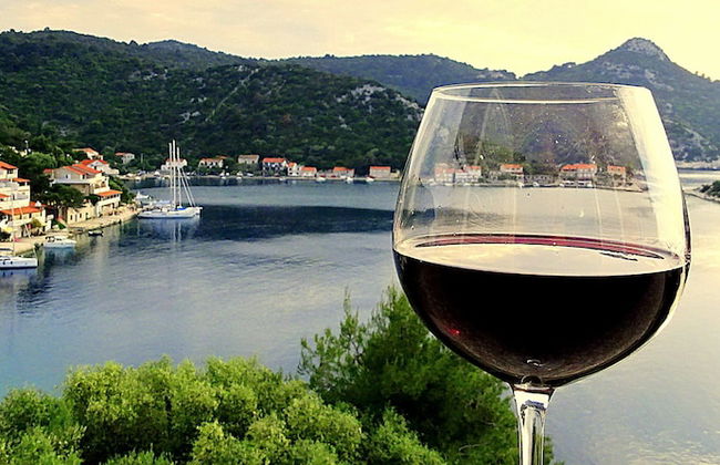 Apartments Graciela - Foto 16