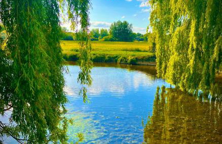 Valley View - Foto 11