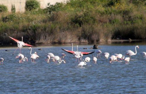 Villetta Natalia 2 - Foto 49