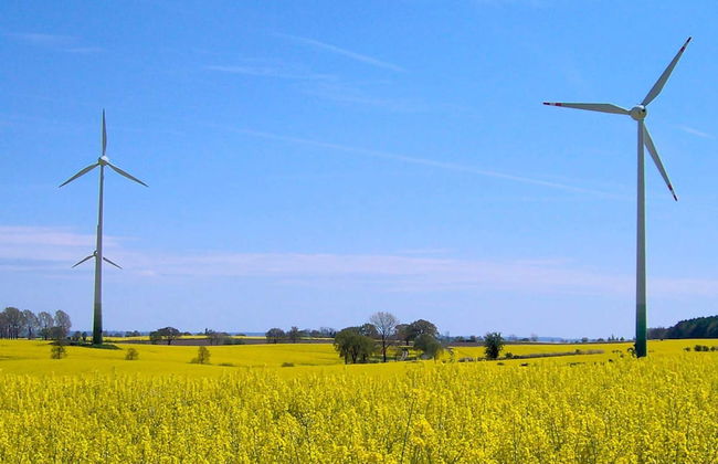 Holiday Home in Grömmitz - Foto 4