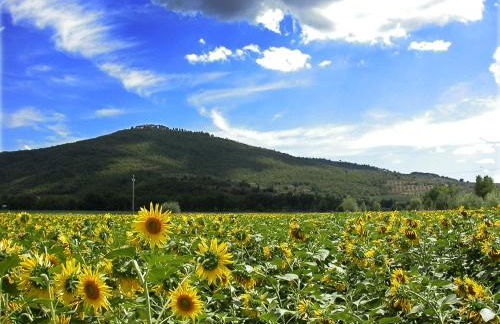 Holiday Home Il Moro Novo - Foto 16