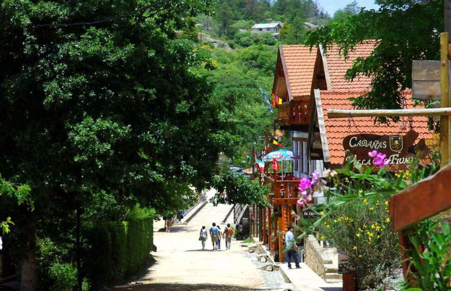 Excursion à Villa General Belgrano et à La Cumbrecita - Photo 5