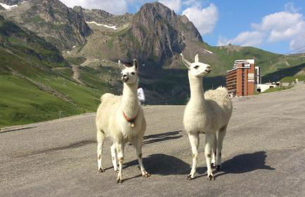 Coquet et accueillant Studio montagne la Mongie - Foto 26