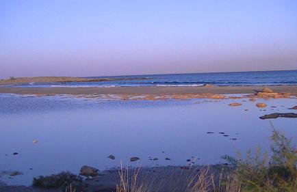 Liviko View - Foto 39