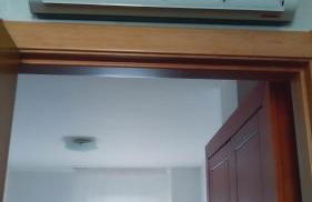 Piso Encanto Palmeiro - Foto 12