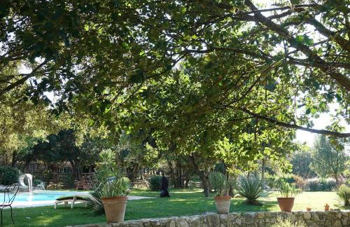 Coin de paradis en Provence - Foto 54