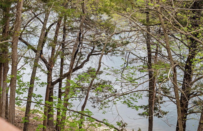 Boatin & Floatin on Table Rock Lake in the Ozarks! - Photo 17