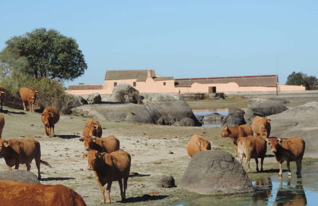 Tour in Cáceres - Photo 6