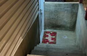 The McNeil Mansions - Foto 9