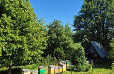 Miodowa Chatka - Foto 23