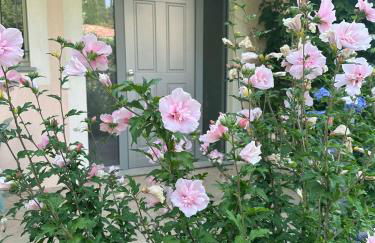 Rocmar charming villa with sea view - Foto 15