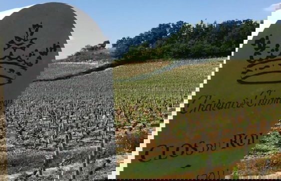 La Maison du Grand Four en Bourgogne, Au coeur de Vignes, Piscine et Sauna - Foto 51