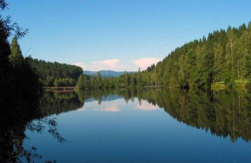 Gemütliche Wohnung in Flussnähe in Regen Bayern - Foto 20
