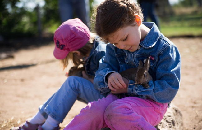 Nymarksminde Apartments & Farmpark - Foto 22