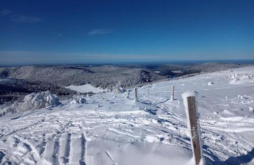 Notre Renardière, Gîtes à Saulxures-sur-Moselotte, Hautes-Vosges - Foto 52