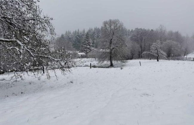 Home in Vielsalm With Sauna - Foto 48