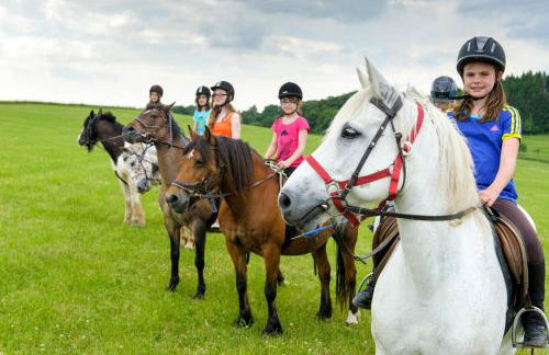 Nengshof Ferienwohnungen Mohnblume und Kornblume - Foto 13