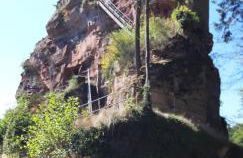 Wasgauer Felsen und Seen - Foto 17