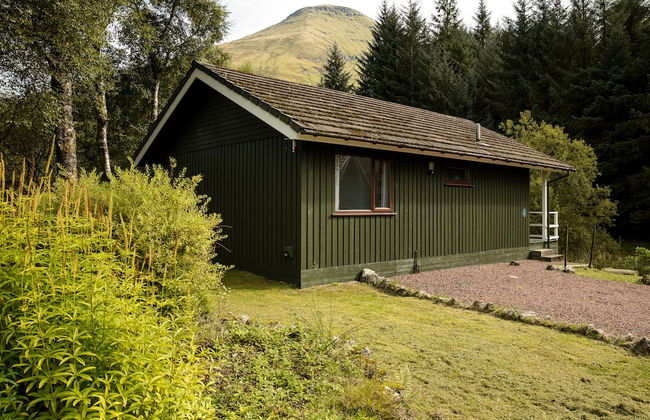 The Whooper - Foto 28