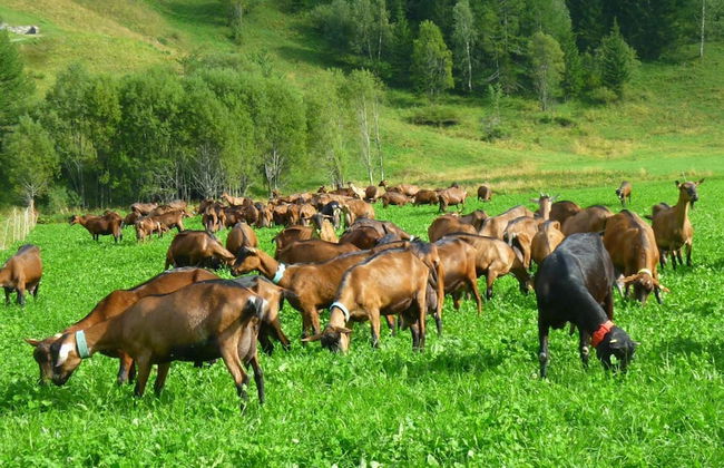 Agriturismo Le Reve - Foto 26