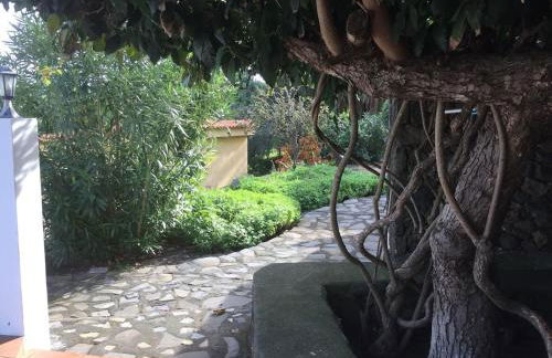 Spacious characterful villa with spectacular views in quiet rural setting. - Foto 51