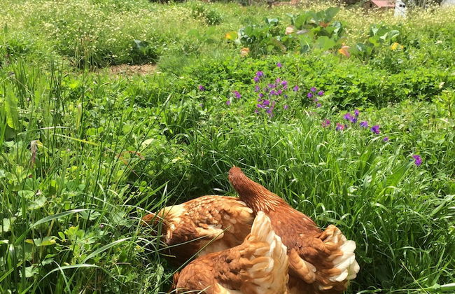 Refugio da Montanha Amazing Views Gois Region - Foto 25