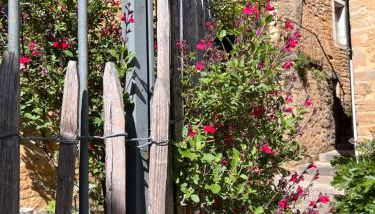 Appartement de charme - Foto 2, Garden, Garden view