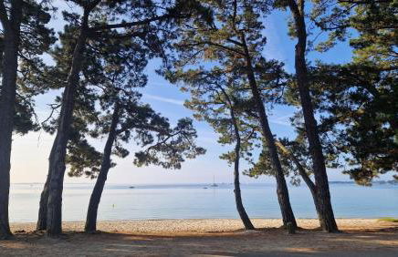 CAP COZ plage piscine et jardin - Foto 9