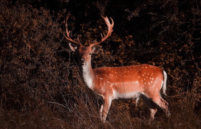 Leeward House - Photo 40