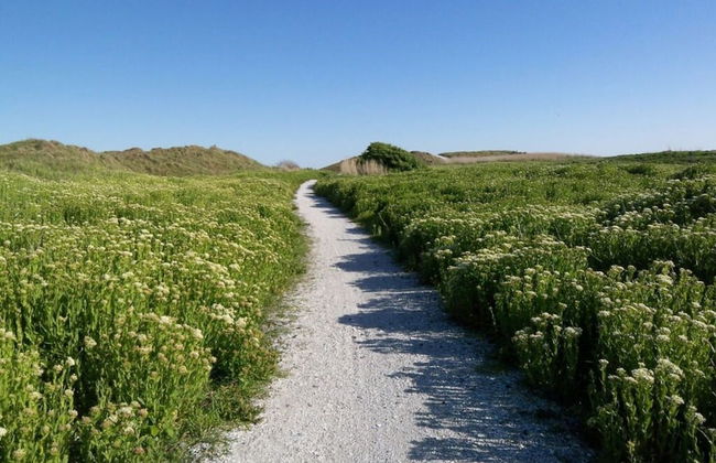 "sina" Comfortable Holiday Residence - Photo 12