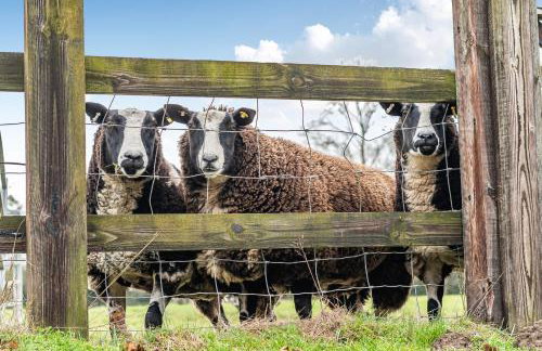 Old Rectory Cottage, Tostock - Foto 6