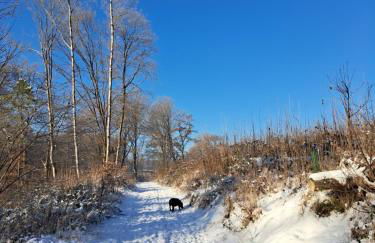Steewer Landhaus gemütliche Ferienwohnung bis 6 Pers in ruhiger Ortsrandlage - Foto 70